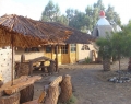 A beautiful farm called Eco Truly Arica is waiting for you!