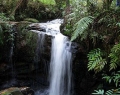 Waterfalls inside nature